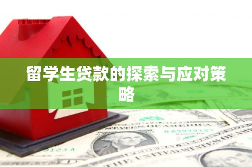 松阳留学生贷款的探索与应对策略