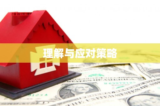 碧江理解与应对策略