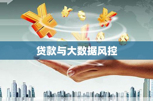 高树贷款与大数据风控