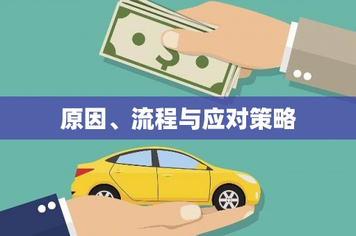 松阳原因、流程与应对策略