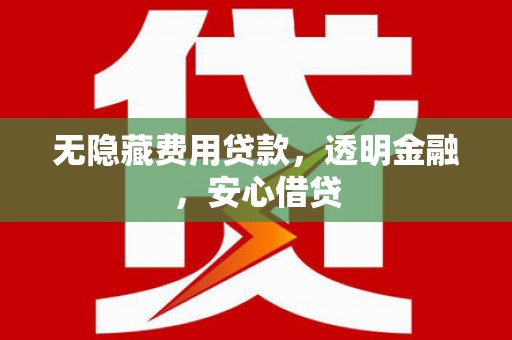 龙南无隐藏费用贷款，透明金融，安心借贷