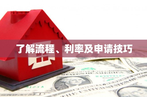 洛宁了解流程、利率及申请技巧