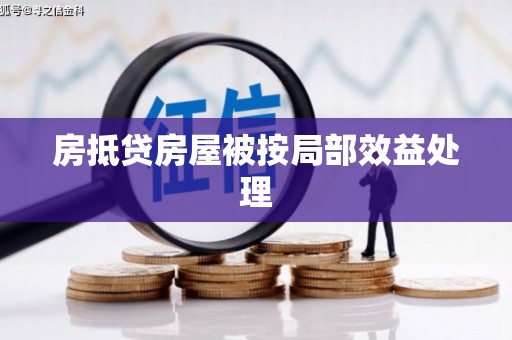 东丰房抵贷房屋被按局部效益处理