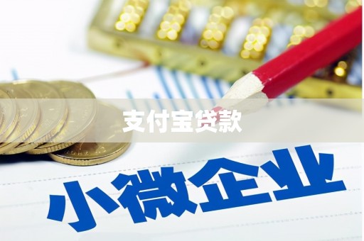 建华支付宝贷款