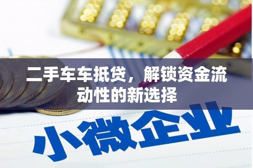 盐山二手车车抵贷，解锁资金流动性的新选择